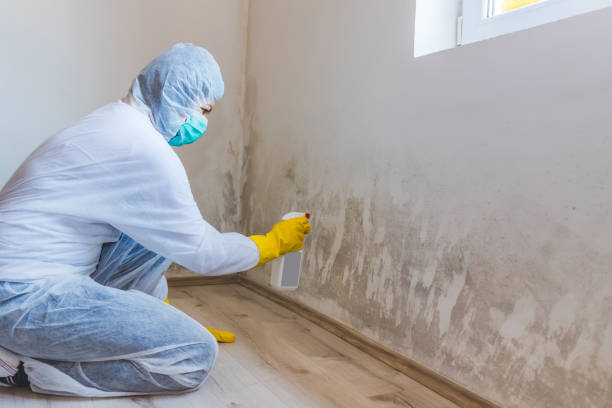 Hvac And Air Duct Mold Remediation inspection of HVAC system in Ashland