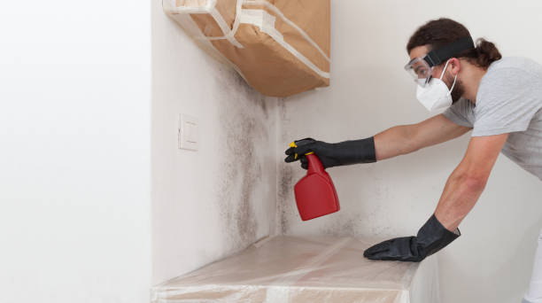 Attic Mold Remediation treatment on roof deck in Ashland